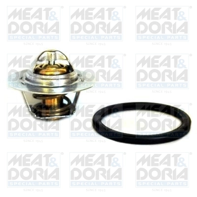 Thermostat, coolant